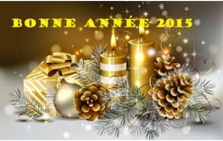 bonne année !!!!