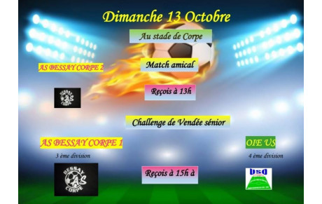 Challenge de Vendée ASBC - L'oie 